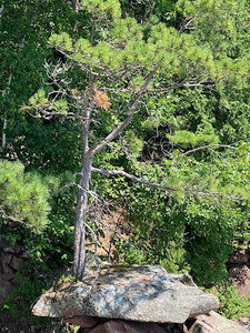 Meet your Posher, Andy